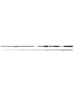 Daiwa Grandwave Shore Jigging 1002XHFS AF
