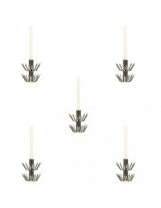 B/ 5 Coronas Sea Monsters Doble Egi 2.5