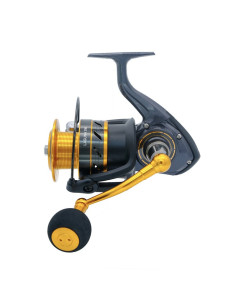Daiwa Laguna 24 SW