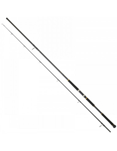 Daiwa Legalis Shore Jigging 962XHFS BF