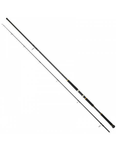 Daiwa Legalis Shore Jigging 962XHFS BF