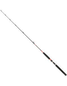 Daiwa Megaforce Trolling 171 3050 AR DF