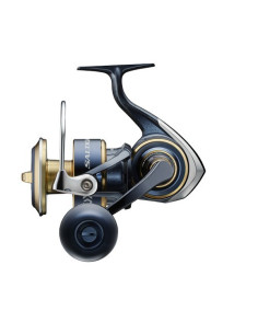 Daiwa Saltiga 20 8000 P
