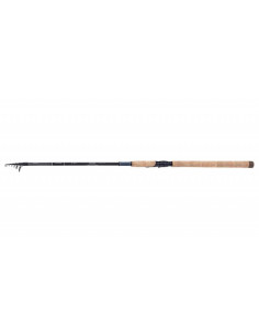 Shimano Catana FX Spin Tele 270M