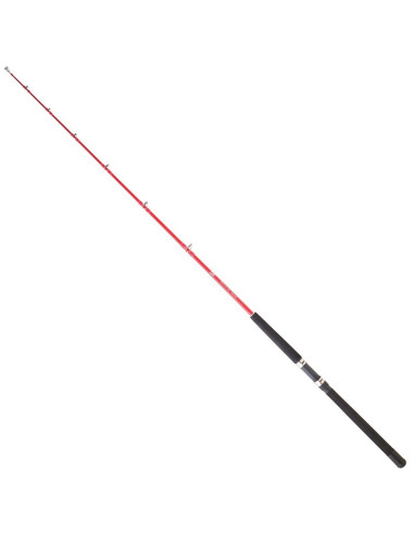 Daiwa Sensor Trolling 181 30 BF
