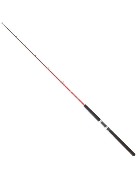 Daiwa Sensor Trolling 181 30 BF