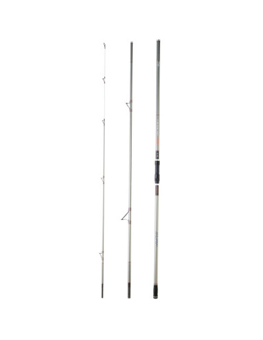 Daiwa Shorecast X S 33 393H BF