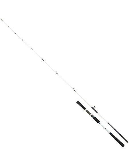 Daiwa Saltist BJ 69S OS CF