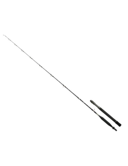 Shimano Tyrnos B Trolling Lite 20lb