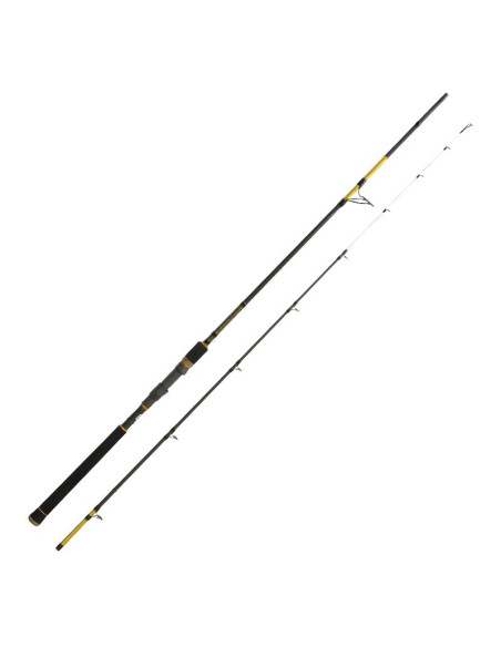 Cana Cinnetic Sky Line Tanera Gold II 240
