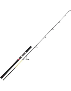 Cana Daiwa GrandWave JG 56 LS