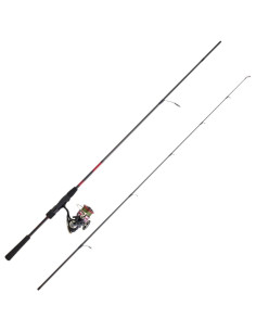 Pack Daiwa Ninja SP 602LFSE CF + Njinja 18LT 2000