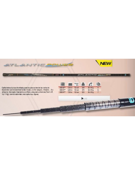 Tubertini Atlantic Power 7.00m