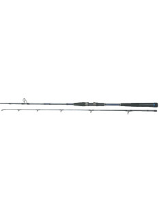 Daiwa Seahunter X OffShore 242XH AF