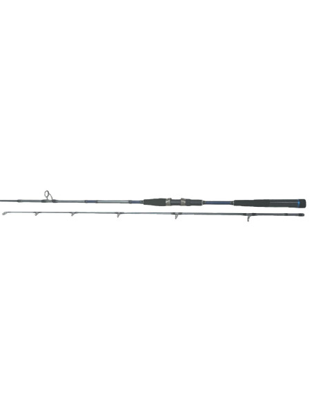 Daiwa Seahunter X OffShore 212XH AF