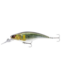 Daiwa Px Flat BT 150MR Ayu