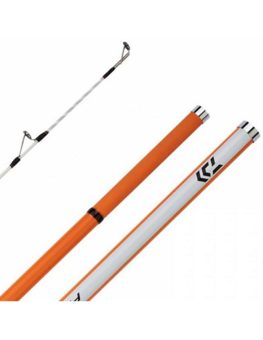 Daiwa Proteus Surf 33 423H AF